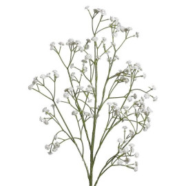 Gypsophilia Spray – Pack of 3